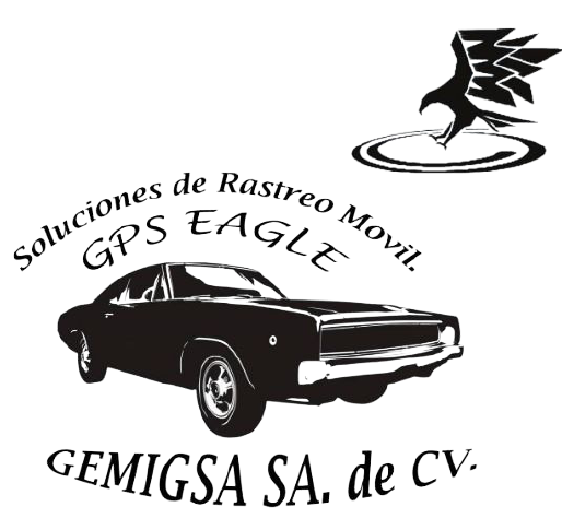 gemigsa-removebg-preview